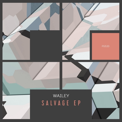 Wailey - Salvage EP [FG533]